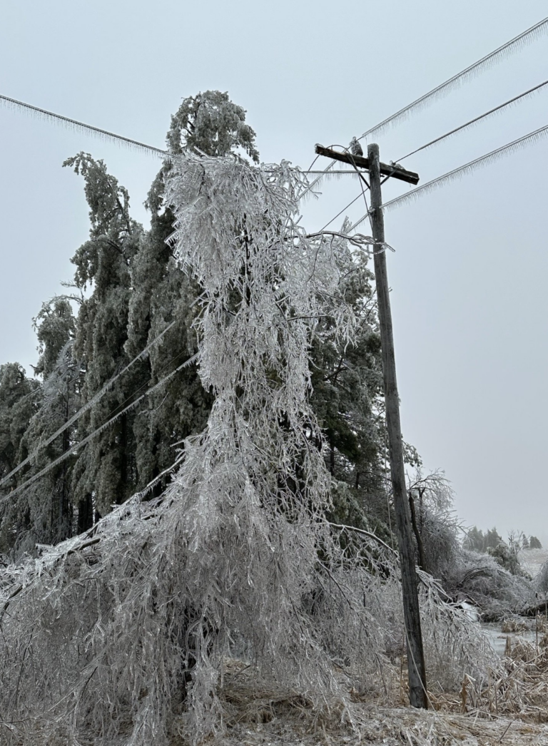 Hydro One launches Ice Storm 2025 Recovery Grant 